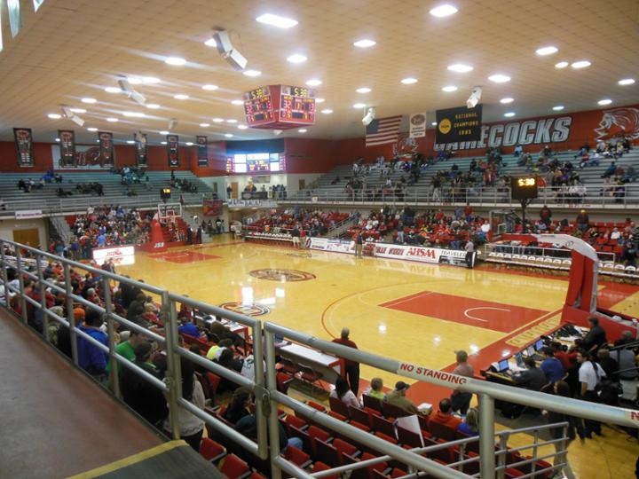 1a92270544b0f852972e69c83eb16674--coliseum-arenas.jpg