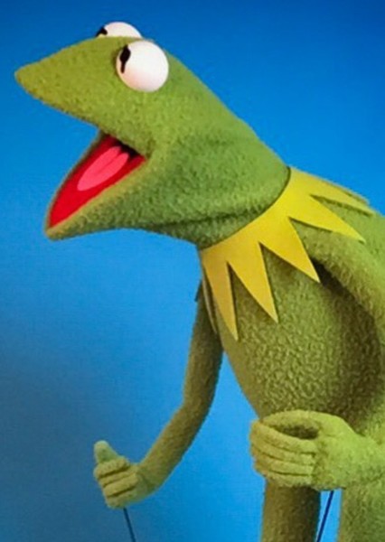 actor-kermit-the-frog-254023_large.jpg